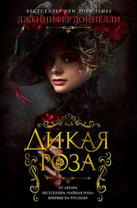 Обложка книги "Дикая роза" Дженнифер Доннелли, современная российская художественная литература, изображение на белом фоне